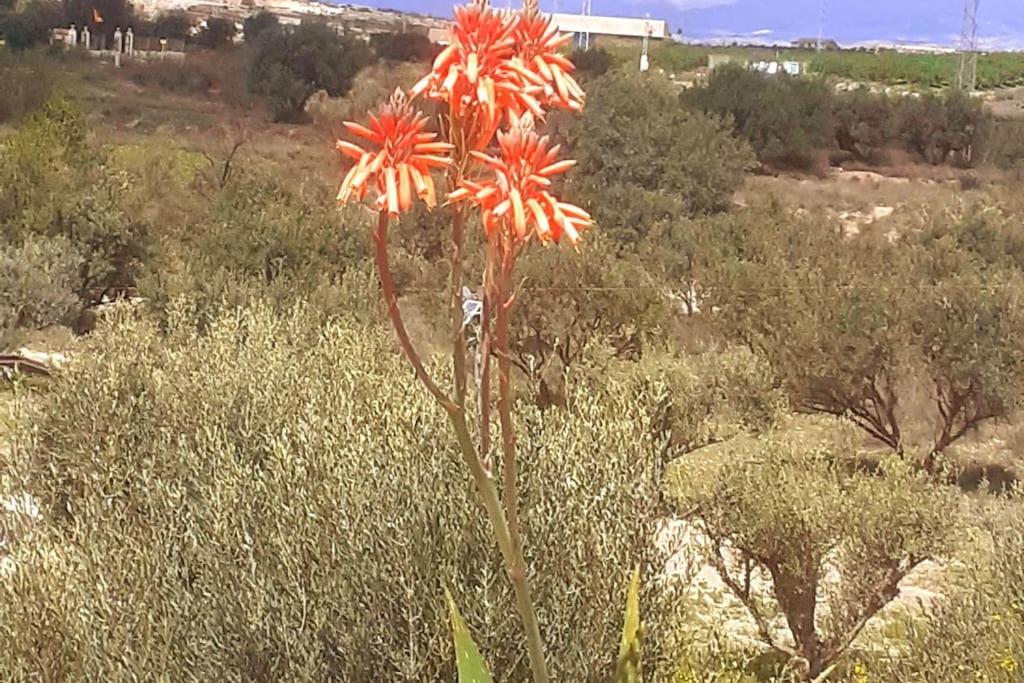 Villa Charming La Mar *