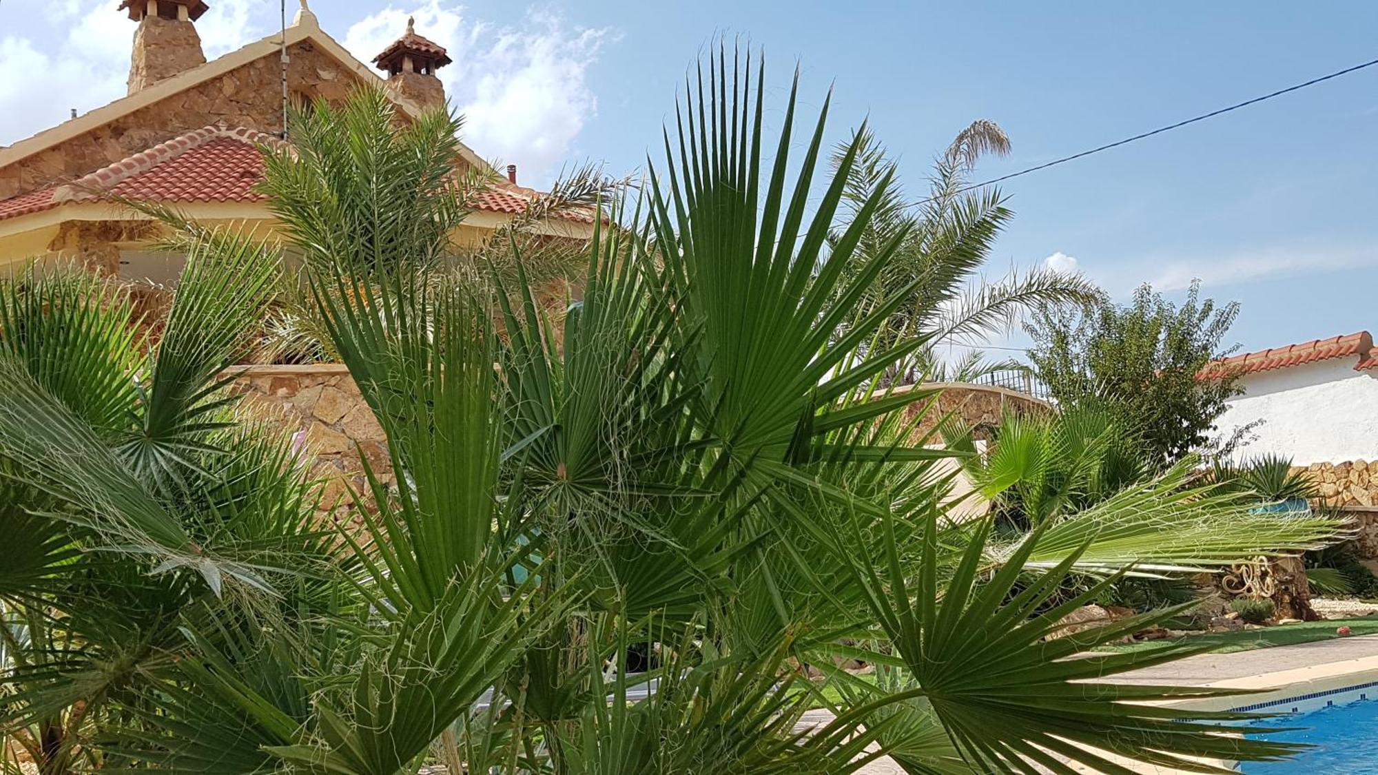 Charming La Mar Villa *